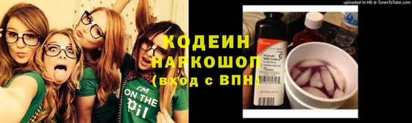 ГАЛЛЮЦИНОГЕННЫЕ ГРИБЫ Алзамай