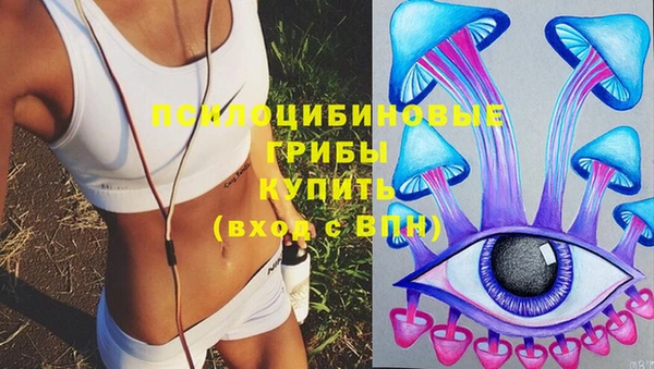 амф Осташков