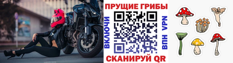 KRAKEN ссылка  Азов  Галлюциногенные грибы Magic Shrooms 
